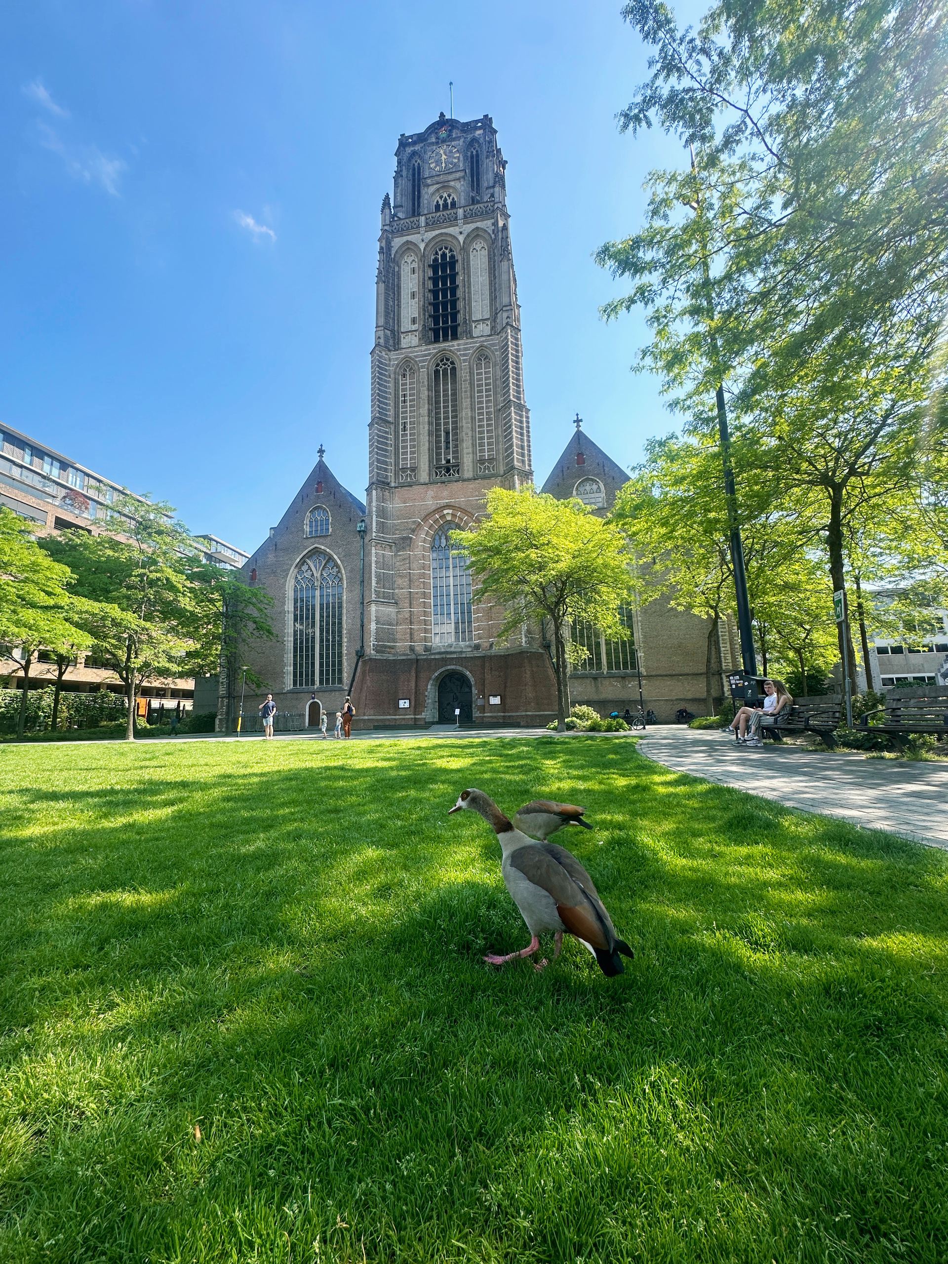 St. Lawrence Church. Rotterdam, Netherlands