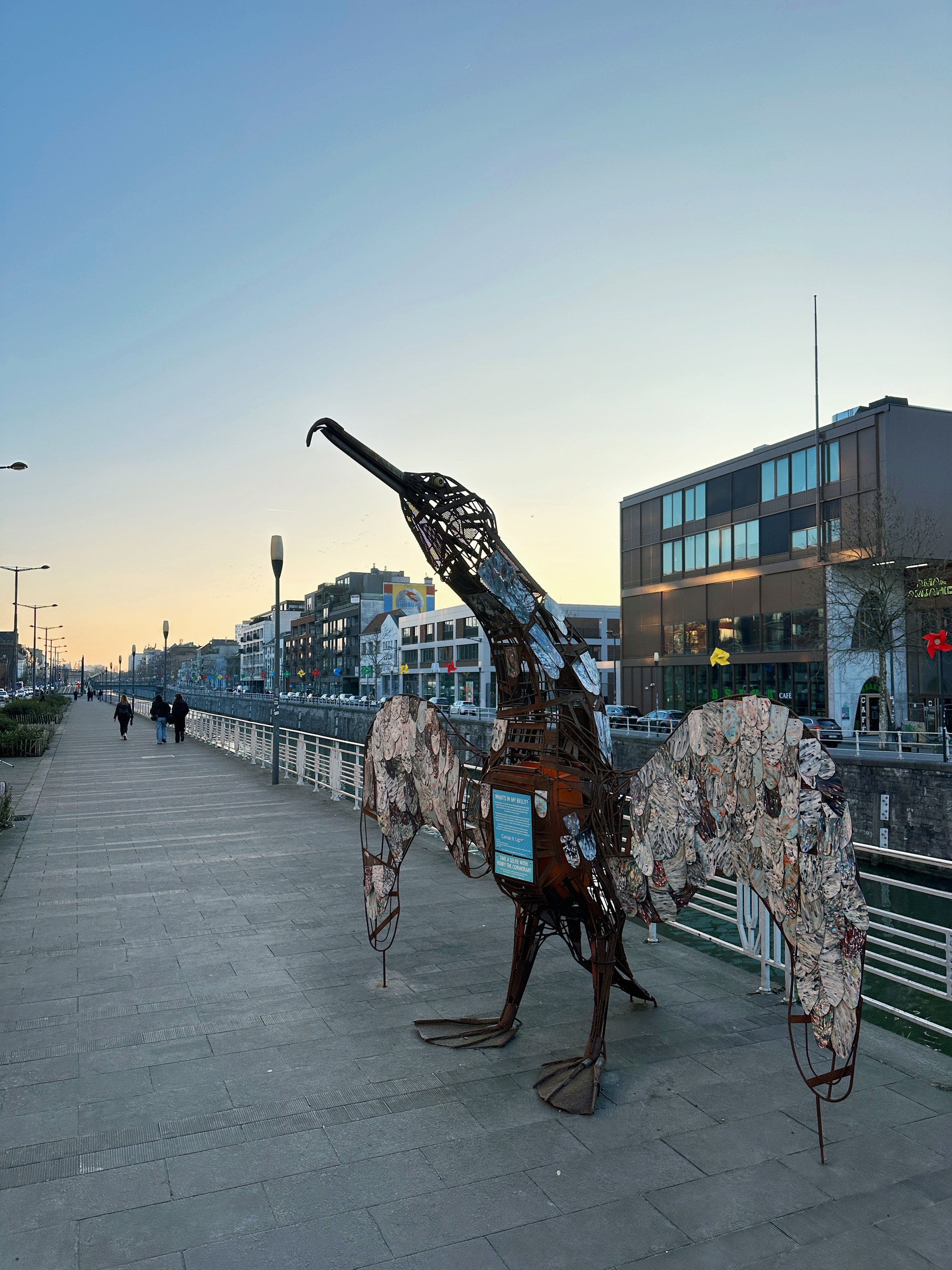 Henry the Cormorant. Brussels, Belgium