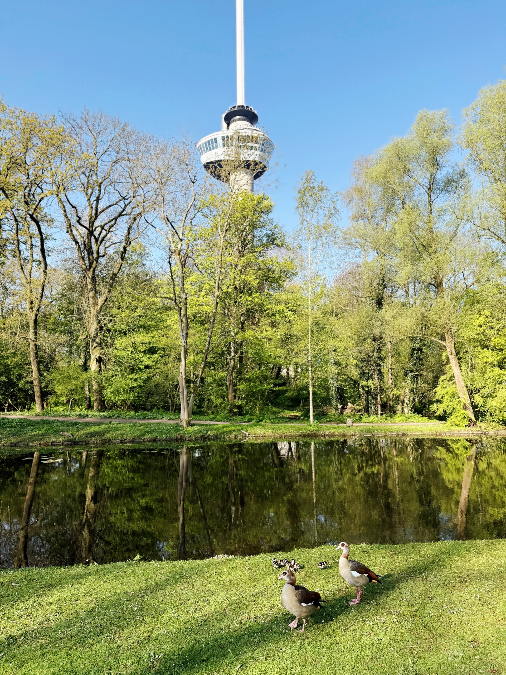 Het Park, Rotterdam, Netherlands