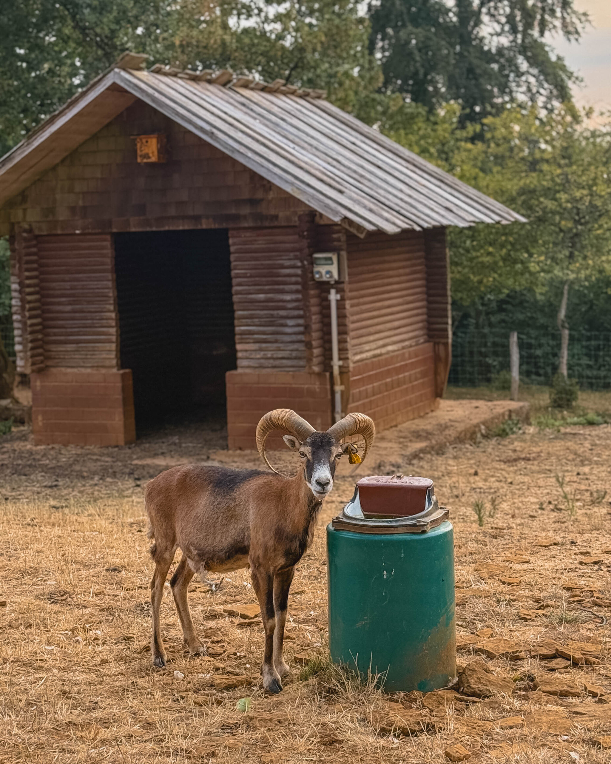Escher Déierepark. Esch-sur-Alzette, Luxembourg